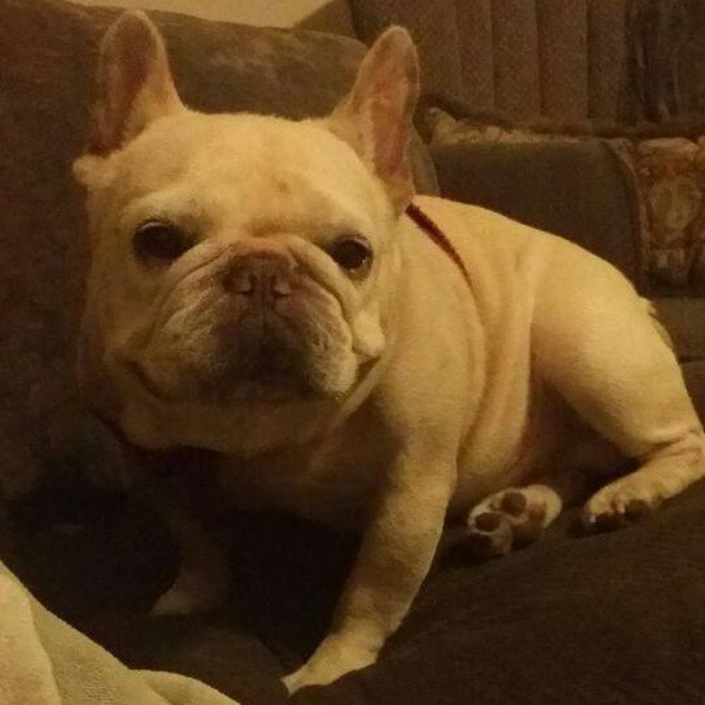 Meet your Posher, Cynthia